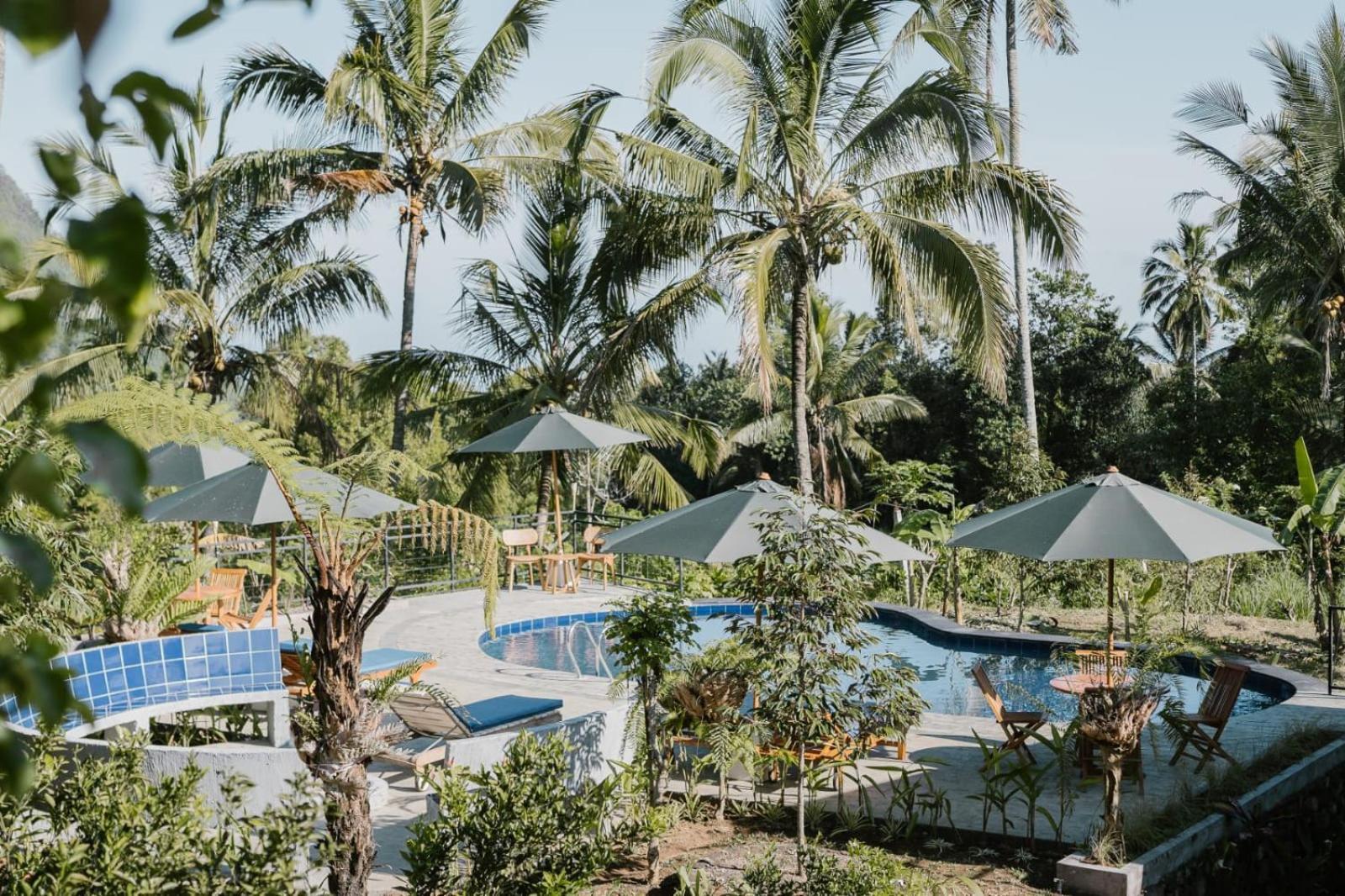 Sekumpul Bali Hidden Space Singaraja Dış mekan fotoğraf
