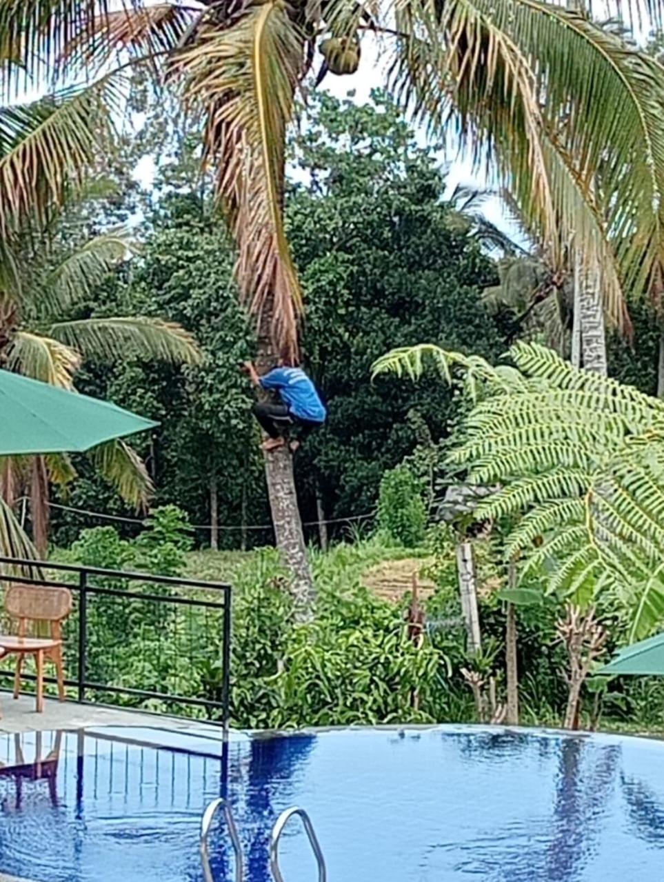 Sekumpul Bali Hidden Space Singaraja Dış mekan fotoğraf