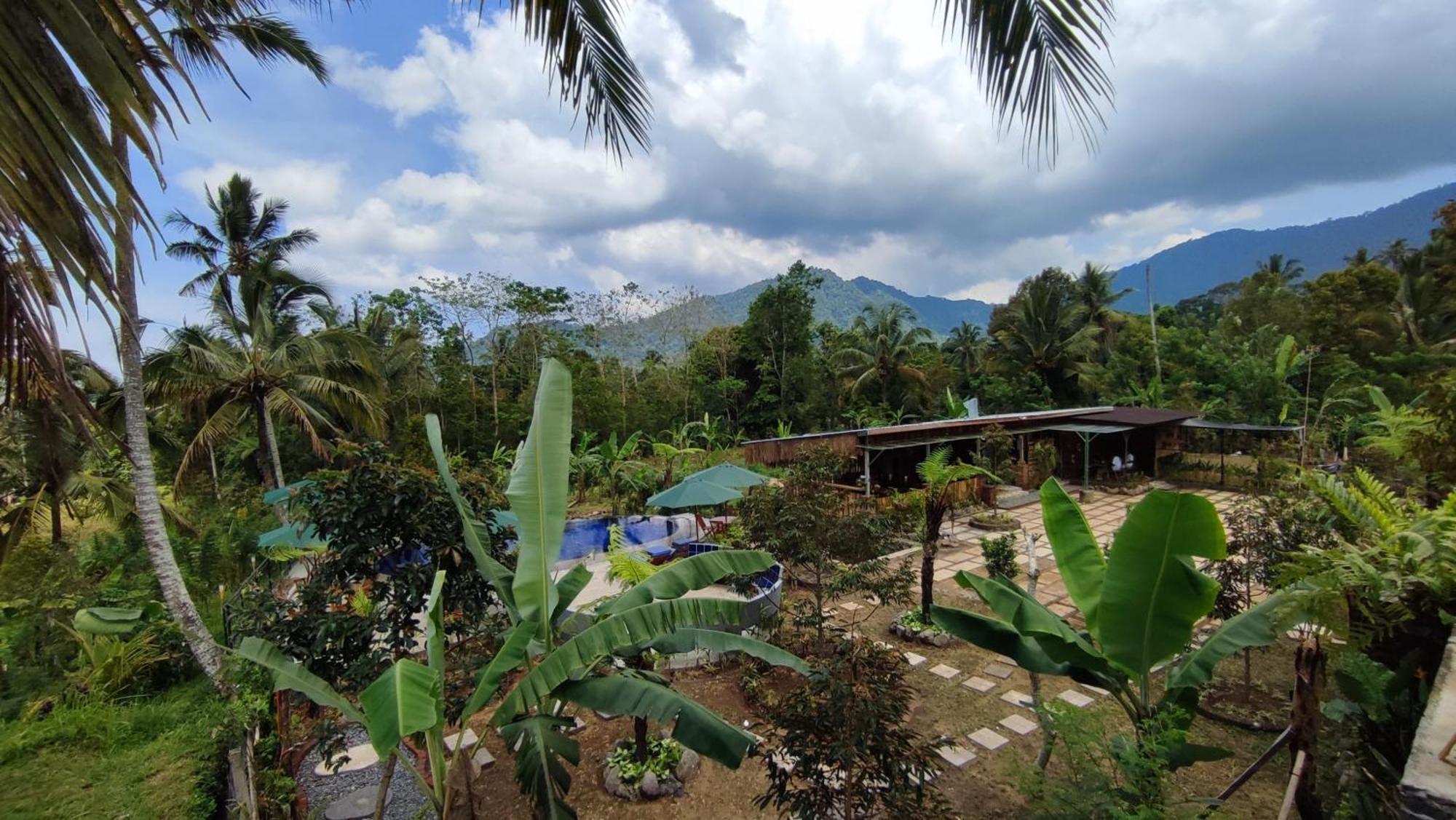 Sekumpul Bali Hidden Space Singaraja Dış mekan fotoğraf