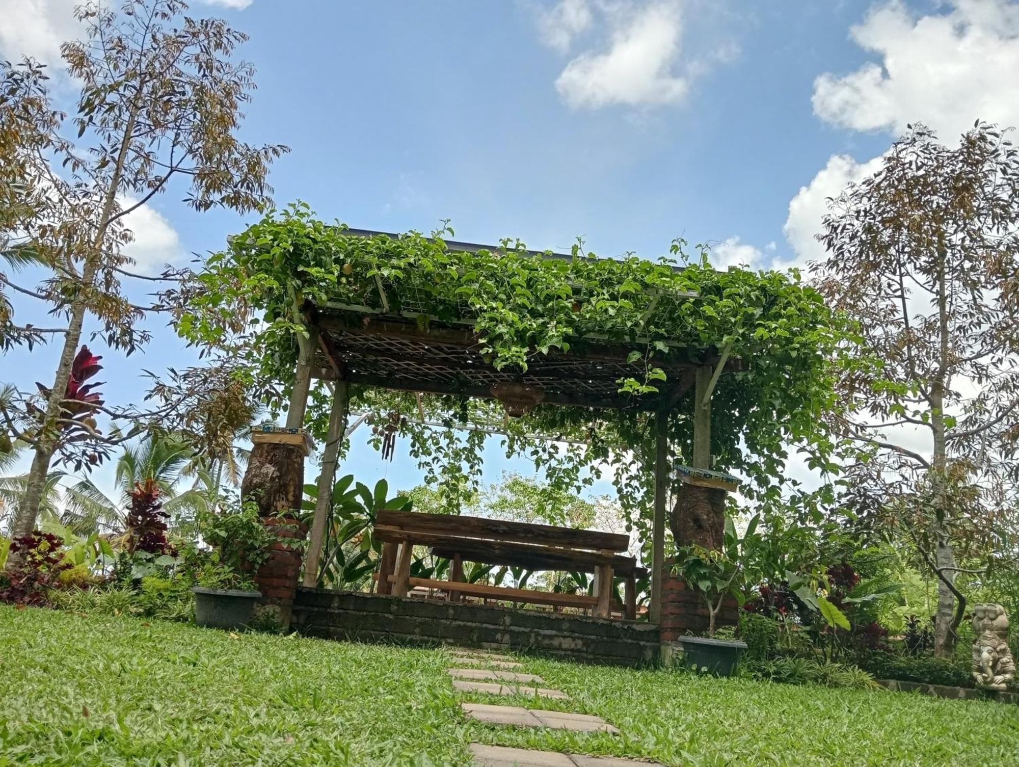 Sekumpul Bali Hidden Space Singaraja Dış mekan fotoğraf